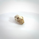 This is a hand carved deer antler cat skull pendant. It is made from deer antler, bone. This is a large sized necklace and is a very unique, one only, pendant that is a collectors piece. Hand carved deer antler cat skull necklace for men and women.