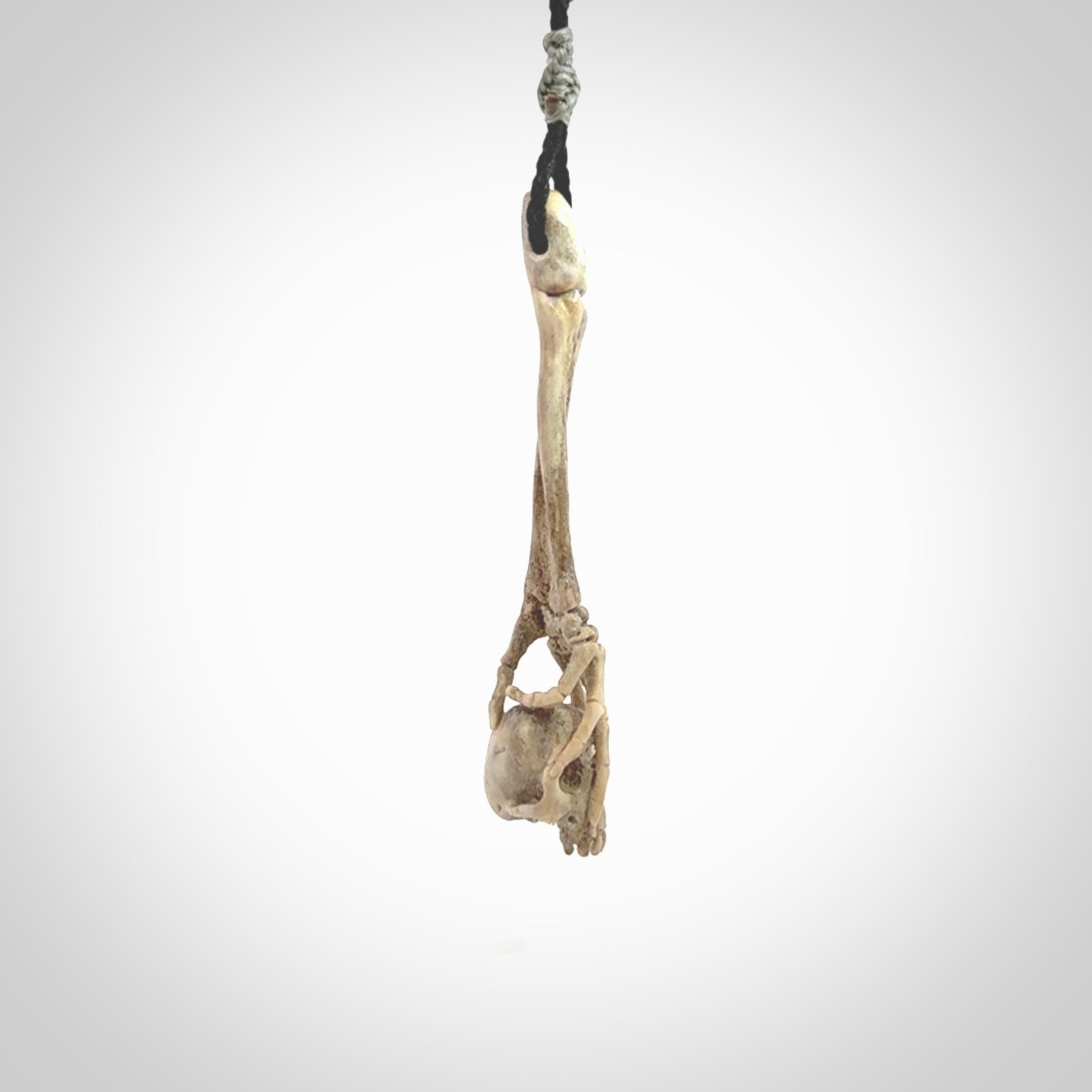 This picture shows a large sized Deer Antler Bone skull in skeleton hand pendant that we have hand carved. It is polished to a soft shine and is a very striking piece. The cord is a black colour and has a small grey floret binding just above the pendant.