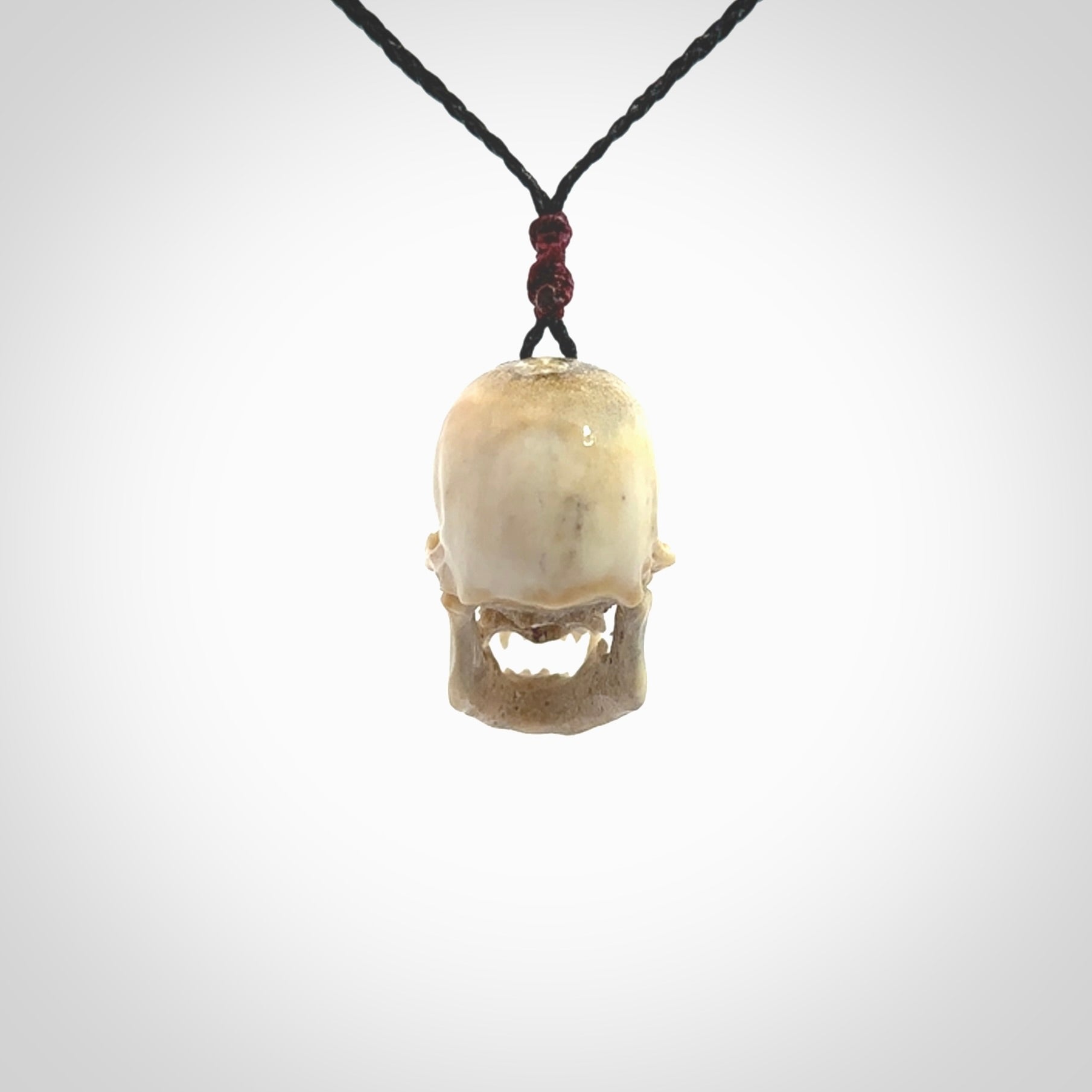 This picture shows a medium sized Deer Antler Bone skull pendant that we have hand carved. It is polished to a soft shine and is a very striking piece. The cord is a black colour and has a small burgundy floret binding just above the pendant.