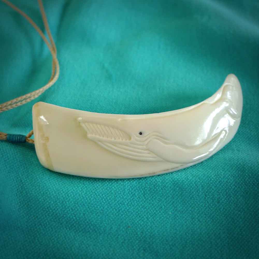 Hand carved whale pendant, carved by us. This piece is carved from boars tusk and is a fantastic depiction of these giants of the deep. This particular piece is a Blue whale design and is lovingly carved.